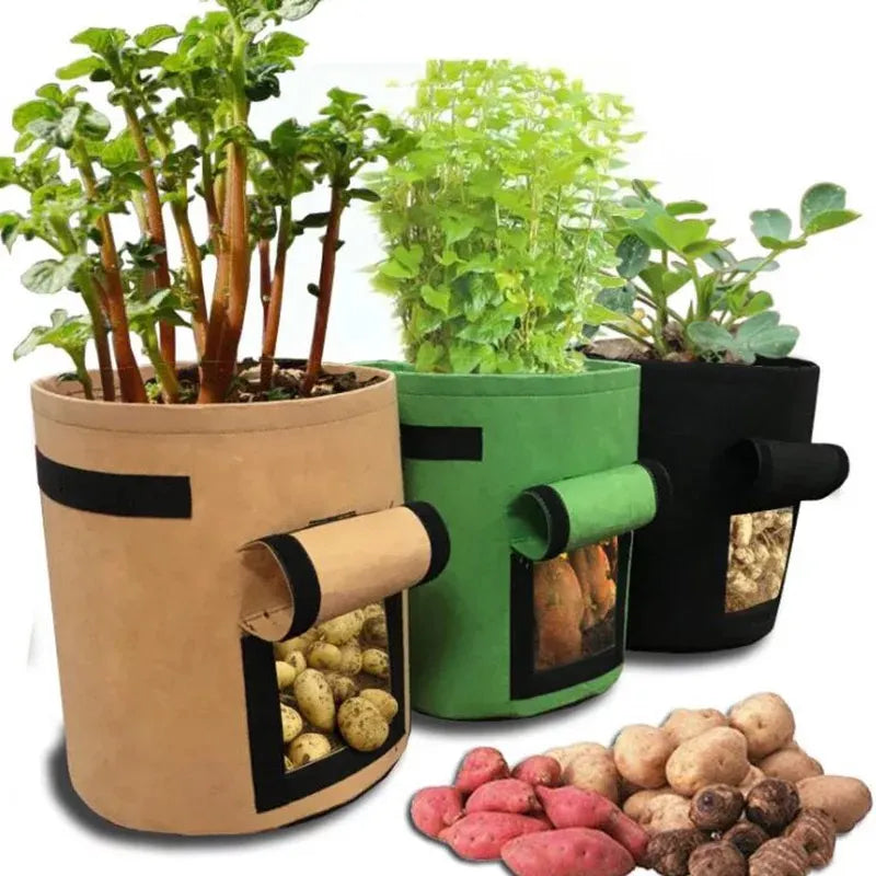 Versatile Felt Plant Grow Bags: Ideal for Greenhouse, Garden, and Vegetable Growing - 3 Sizes Available