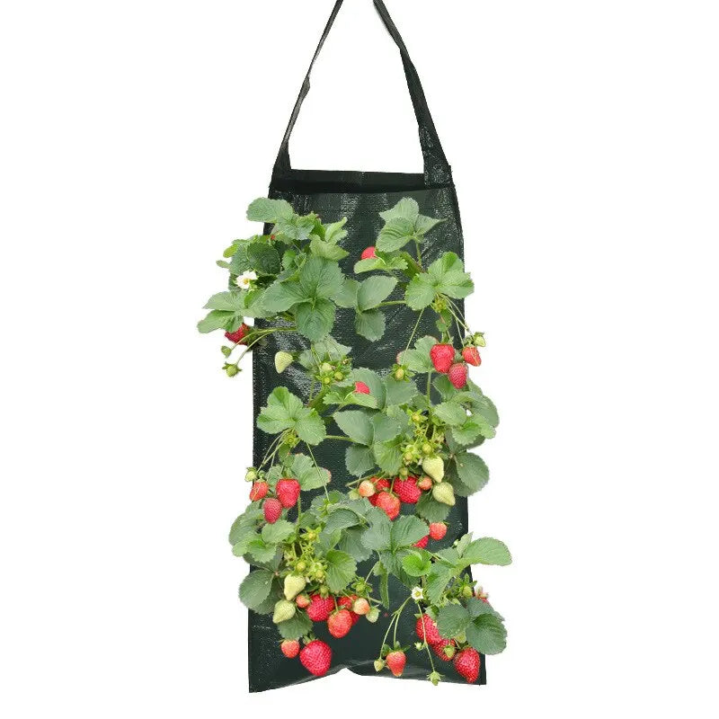 6-Hole Hanging Planting Bag | Plant Growth Nutrition Pot | PE Woven Bag for Hanging Plant Growth