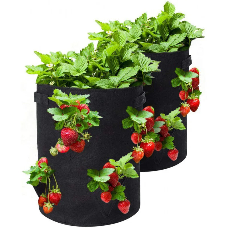 Spring Strawberry Growing Bag - Vegetable Planting Pot 5/7/10 Gal - Multi-Mouth Grow Bag for Garden and Terrace