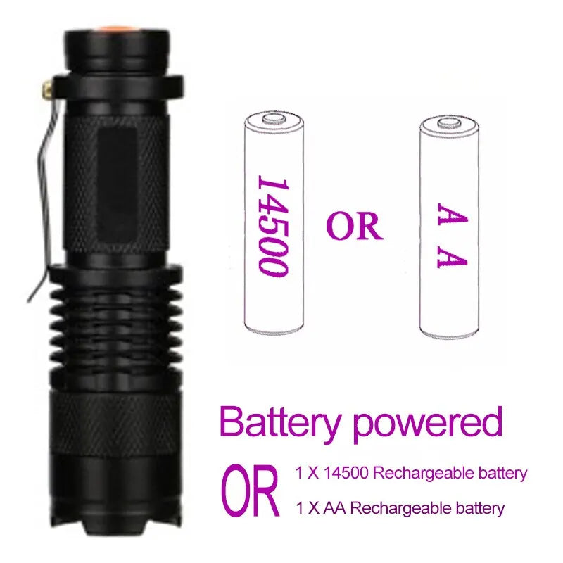 UV LED Portable Flashlight 395nm | Black Light Wavelength Violet Flashlight | Pet Urine & Scorpion Detector Torch