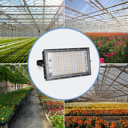 LED Grow Light Plant Hydroponic Lamp - Full Spectrum 220V LED Phytolamps for Greenhouse Seeds Flower Growing, 50W/100W