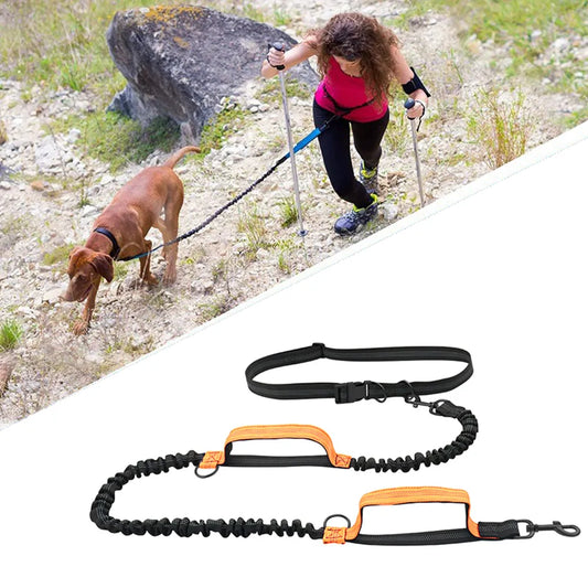 Retractable Hands-Free Dog Leash for Running | Double Handles | Elastic Cord | Reflective | Large Dog Leash | Pet Supplies