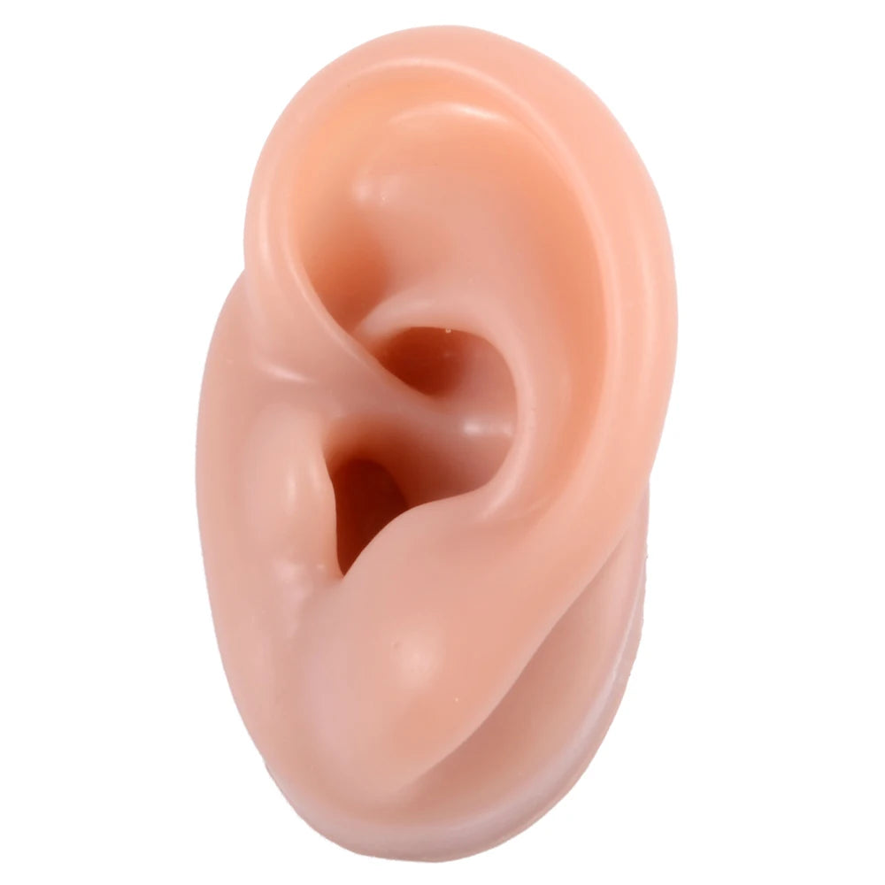 Professional Silicone Ear Model for Piercing Practice - Reusable Earring and Ear Stud Display Tool, Ideal for Body Jewelry Showcasing