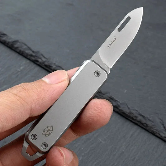 Folding Stainless Steel Mini Knife - Sharp, Multi-Functional Keychain Fruit Knife with Box Opener, Portable for Outdoor and Home Use