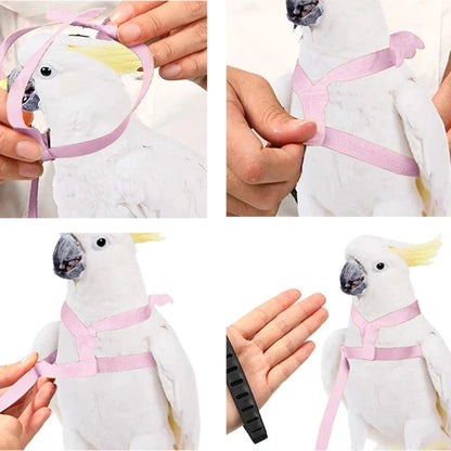 Pet Bird Flying Harness Leash: Outdoor Flight Training Rope for Parrots - Cockatiel, Macaw, Budgie Supplies & Accessories