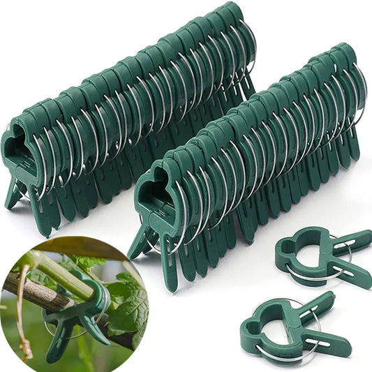 Reusable Plant Fixed Clips - Garden Greenhouse Brackets for Supporting Plants, Vine, Flower Seedling, Tomatoes - Garden Supplies