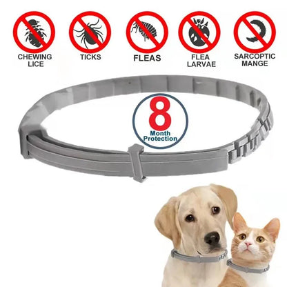 Pet 8-Month Protection Adjustable Collar: Dog Anti Flea and Tick Collars for Large Dogs, Puppies, and Cats - Dog Accessories