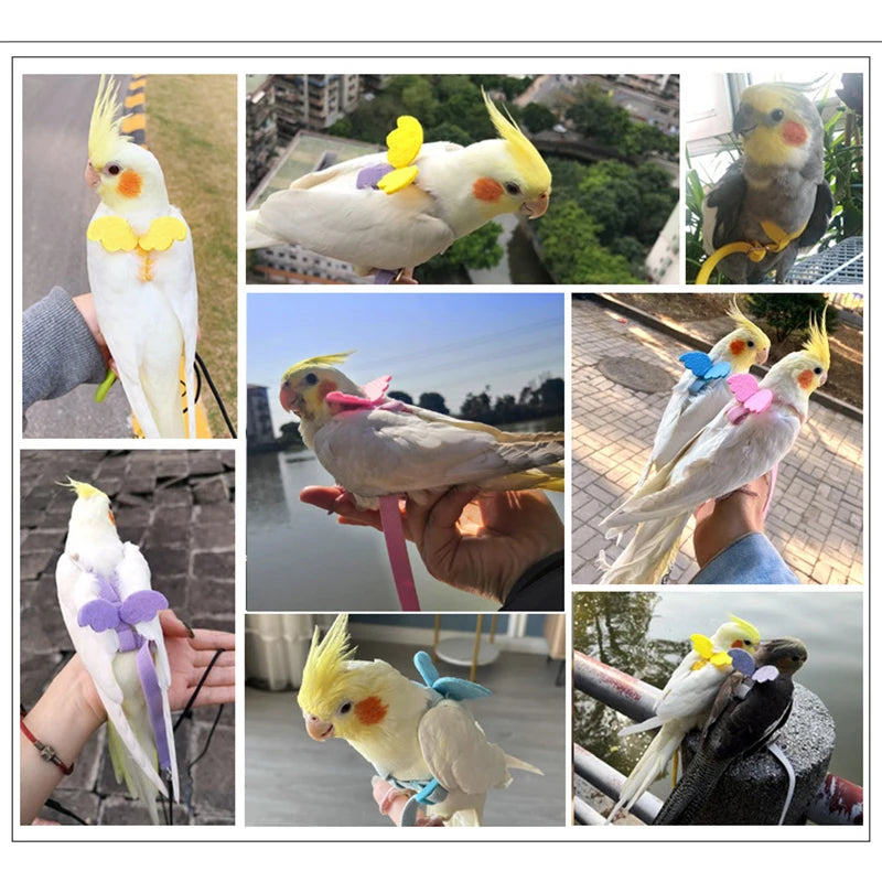 Pet Bird Flying Harness Leash: Outdoor Flight Training Rope for Parrots - Cockatiel, Macaw, Budgie Supplies & Accessories