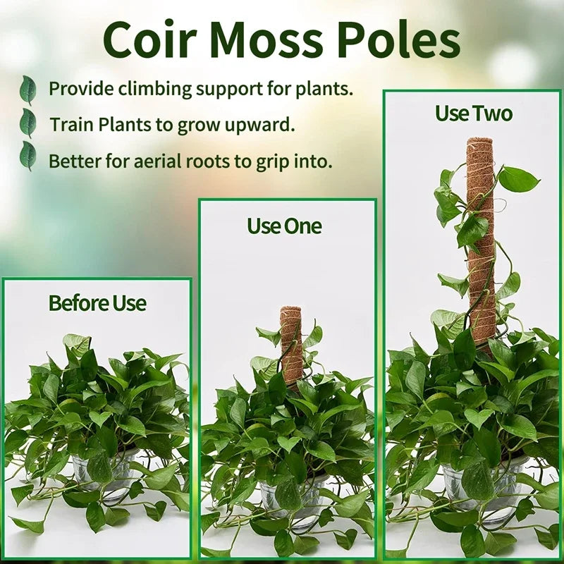 Bendable Moss Coir Pole: Support for Climbing Plants, Indoor & Outdoor Flower Decor - Garden Courtyard Essential