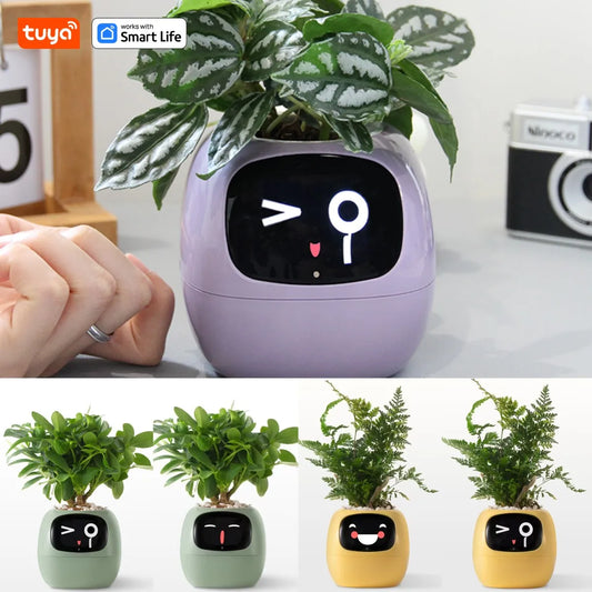 Tuya Ivy Smart Planter – AI-Enhanced with 7 Smart Sensors, Over 49 Expressions for Easy and Fun Plant Care