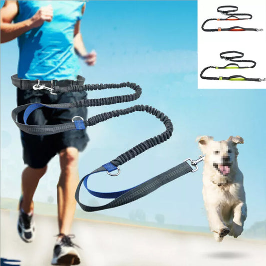 Reflective Pet Dog Running Belt: Elastic Hands-Free Jogging Leash with Metal D-Ring Harness - Traction Rope for Freely Jogging Pull