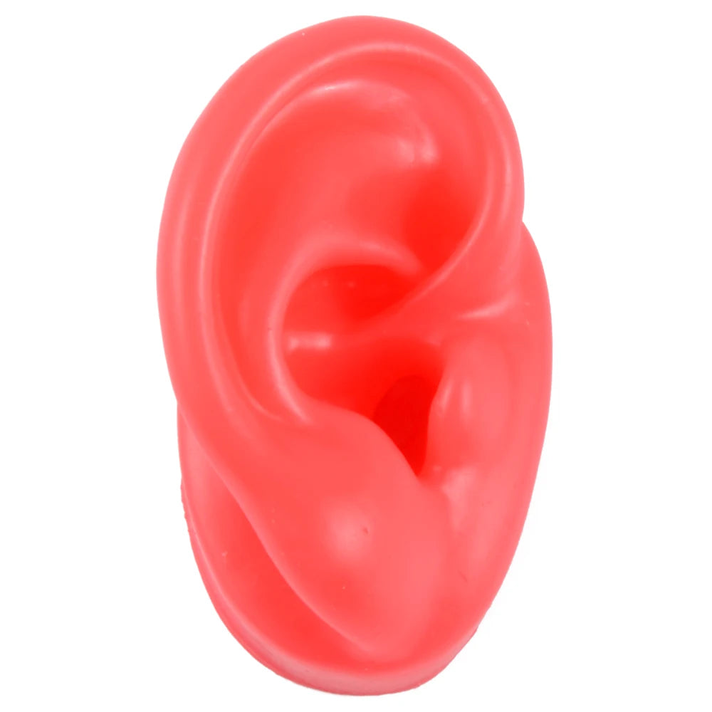 Professional Silicone Ear Model for Piercing Practice - Reusable Earring and Ear Stud Display Tool, Ideal for Body Jewelry Showcasing