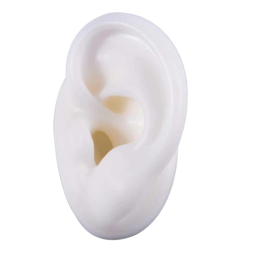 Professional Silicone Ear Model for Piercing Practice - Reusable Earring and Ear Stud Display Tool, Ideal for Body Jewelry Showcasing