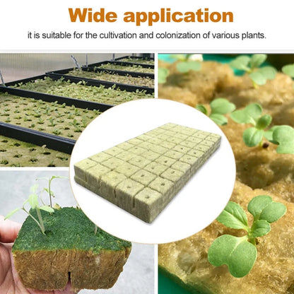 50pcs Stonewool Hydroponic Grow Media Cubes 25x25x25mm - Ideal Soilless Substrate for Seedlings and Plants