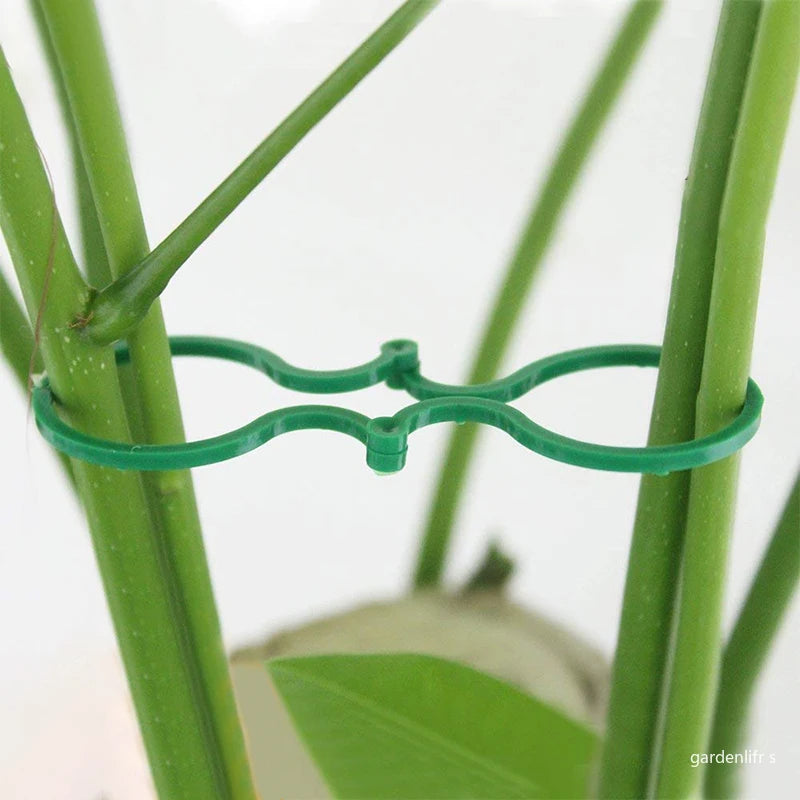 Plastic Garden Vine Strapping Clips - 20/50/100Pcs Plant Bundled Buckle Rings for Tomato, Grapevine, and More - Plants Support Tool