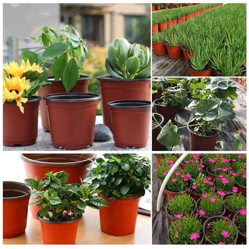 50/20pcs Plastic Flower Pots - Nursery Seedling Planters for Flowers and Seeds - Garden Supplies Container Box