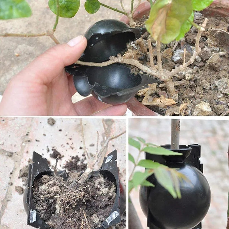 10Pcs Plant Rooting Ball Propagation Box: Reusable Root Growing Pots for Cuttings Grafting - Efficient Plant Propagation Solution