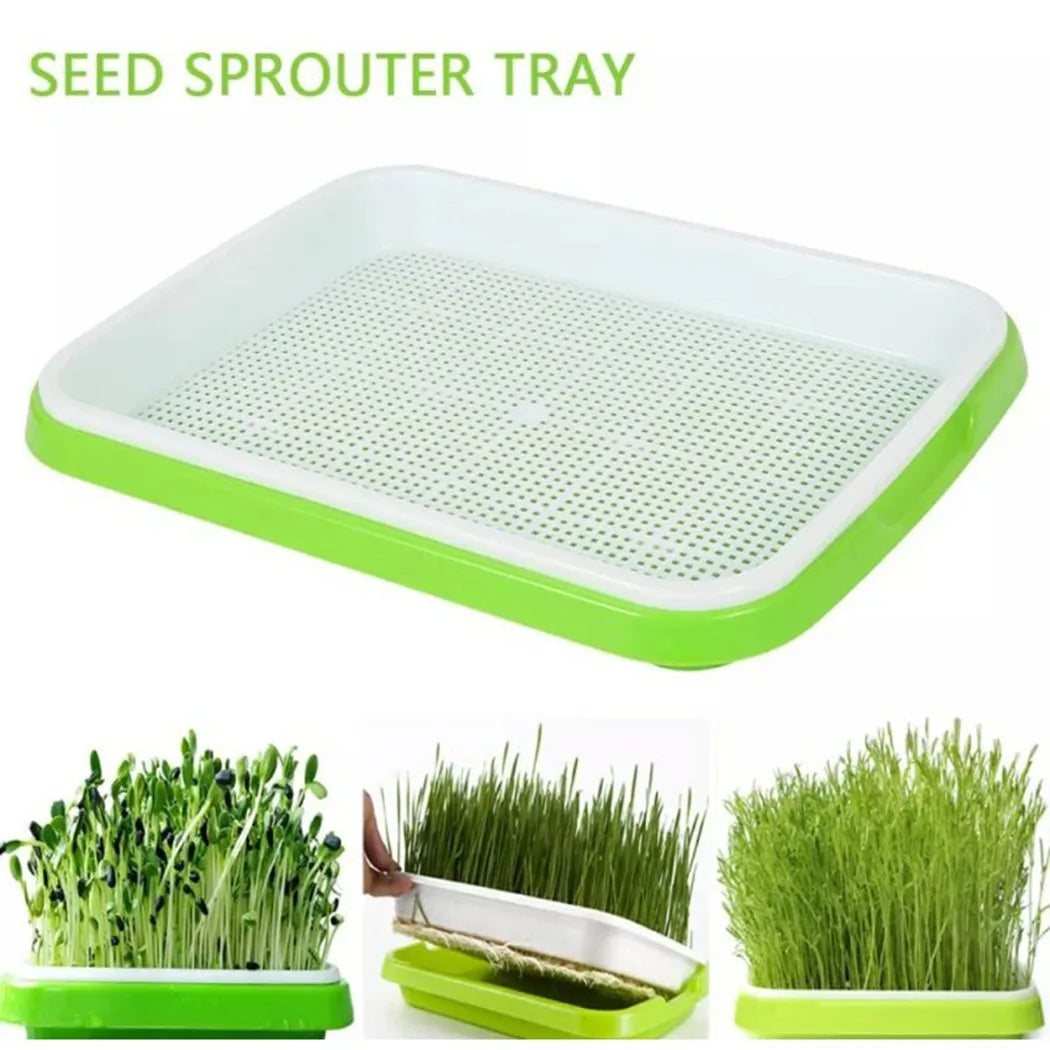 Hydroponic Microgreens Sprouter Tray - Sprouting Tray for Garden Nursery, Horticultural Hydroponic Systems, Potted Plant Growth