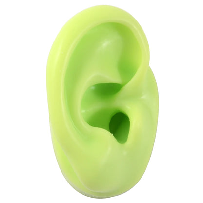 Professional Silicone Ear Model for Piercing Practice - Reusable Earring and Ear Stud Display Tool, Ideal for Body Jewelry Showcasing