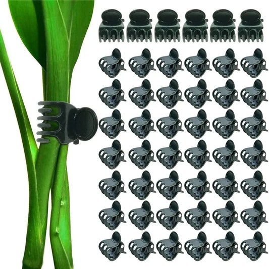 Multi-Pack Garden Plant Clips (20-100Pcs) - Butterfly Orchid, Flower, Fruit, and Vegetable Support Clamps - Essential Vine Grafting Supplies and Tools