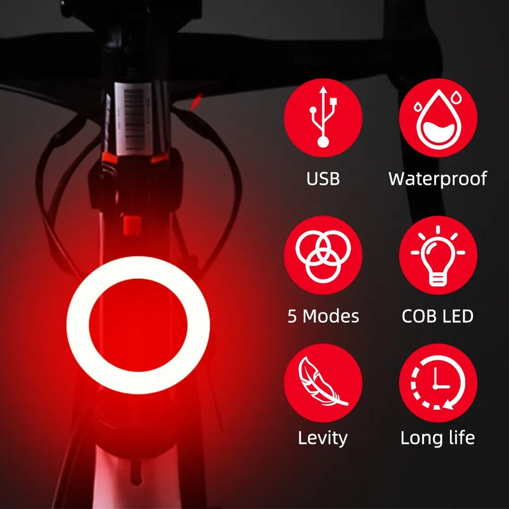 USB Rechargeable LED Bike Light: Multi Lighting Modes Bicycle Taillight Flash Tail Rear Lights for MTB Bike Seatpost