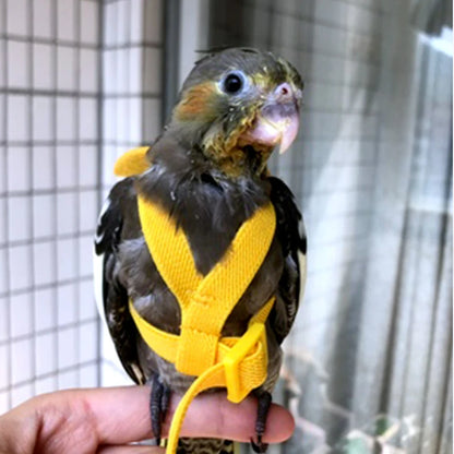 Pet Bird Flying Harness Leash: Outdoor Flight Training Rope for Parrots - Cockatiel, Macaw, Budgie Supplies & Accessories