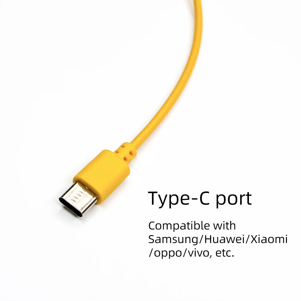 10-in-1 Universal Charging Cable for SP, 3DS, NDSL, Wii U, PSP - High Quality Multi-Device Compatible Charger