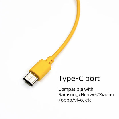 10-in-1 Universal Charging Cable for SP, 3DS, NDSL, Wii U, PSP - High Quality Multi-Device Compatible Charger