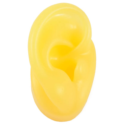 Professional Silicone Ear Model for Piercing Practice - Reusable Earring and Ear Stud Display Tool, Ideal for Body Jewelry Showcasing