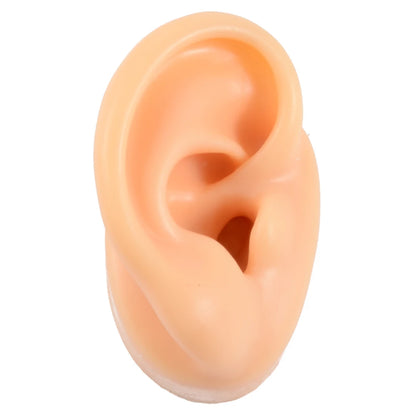 Professional Silicone Ear Model for Piercing Practice - Reusable Earring and Ear Stud Display Tool, Ideal for Body Jewelry Showcasing