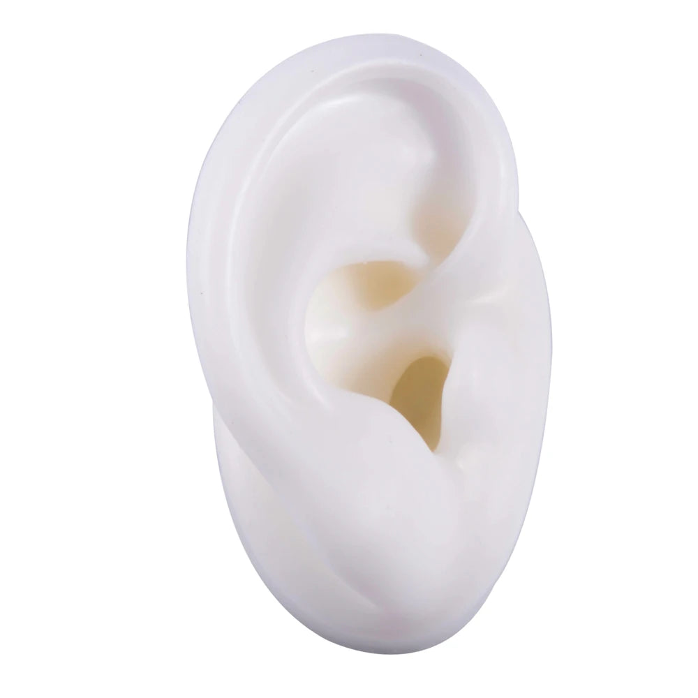 Professional Silicone Ear Model for Piercing Practice - Reusable Earring and Ear Stud Display Tool, Ideal for Body Jewelry Showcasing