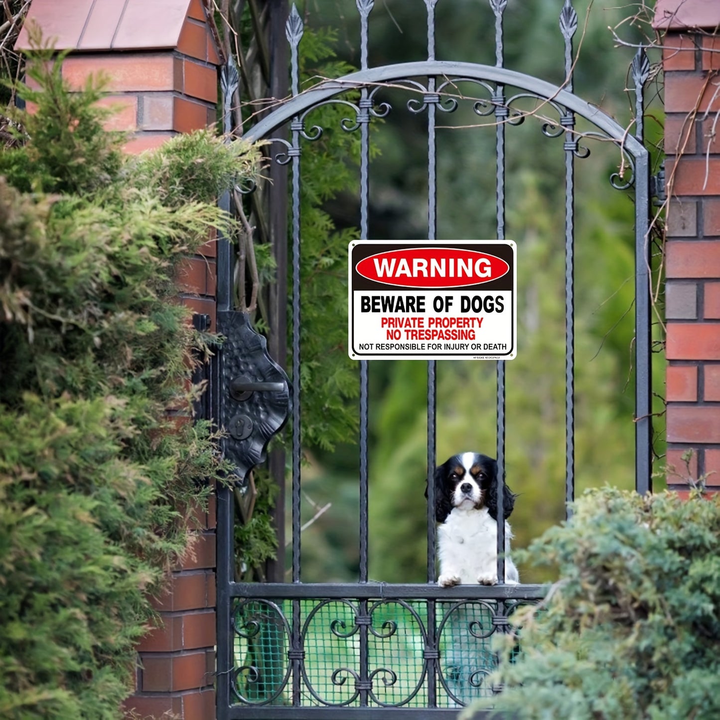 2 Pack Beware of Dog Signs - 10x7" Aluminum Warning Signs with High Reflective Film for Private Property & Driveways - Not Responsible for Injury or Death Alert