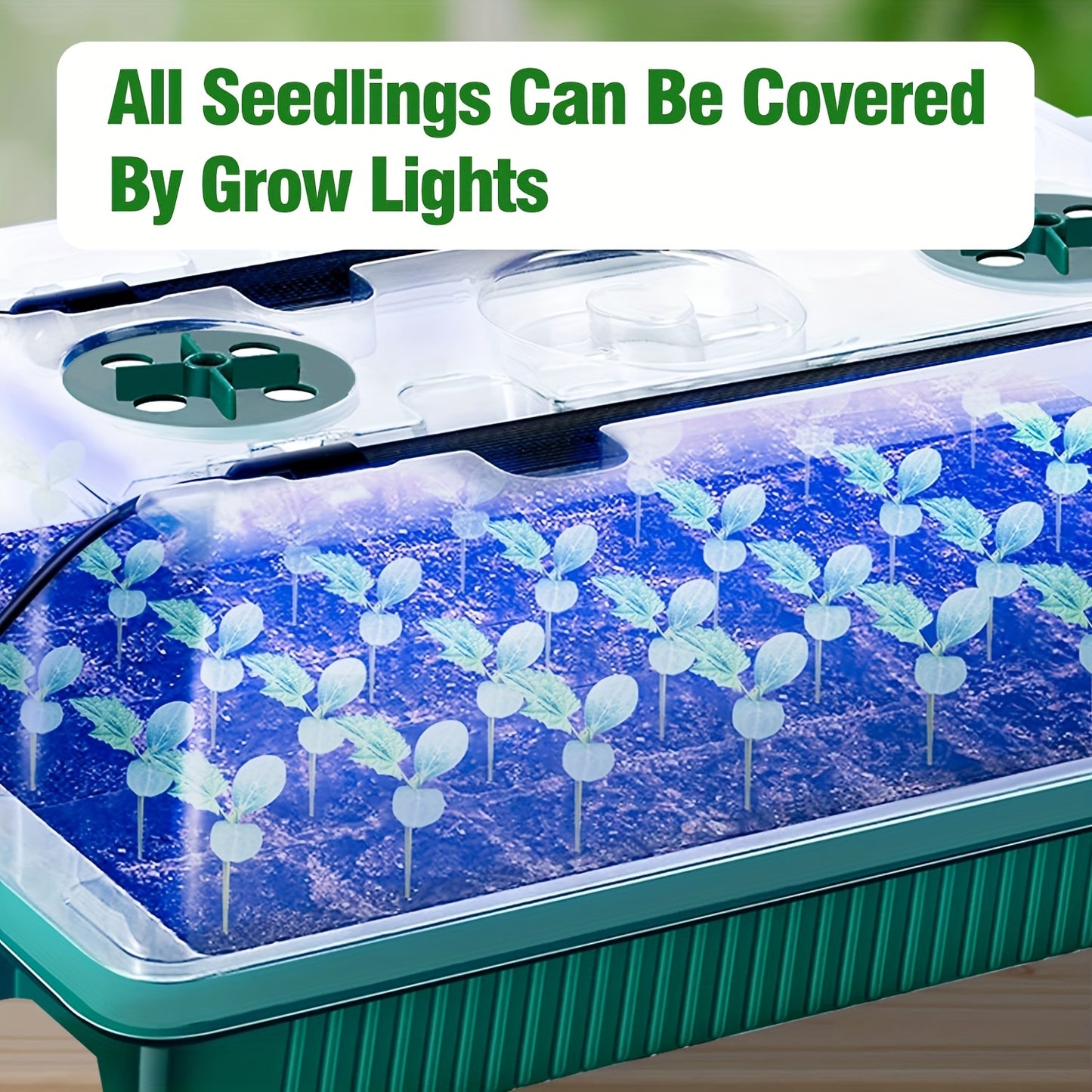 2 Pack Seed Starter Trays with High Dome Germination Kit – 80 Cells, 4 LED Grow Lights, Smart Timer and 3 Modes – Ideal for Home Gardeners and Indoor Greenhouse Seedlings