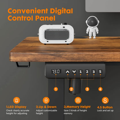 40/55" Adjustable Electric Standing Desk – Ergonomic Height, Spacious Workstation for Home Office, Cafe, Event Hosting – 4 Colors, Sturdy and Space Saving